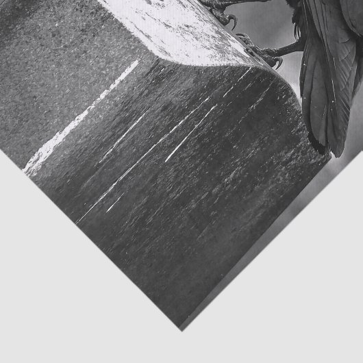 Falln heeft een doether gevonden tissuepapier (Detail)