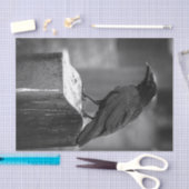 Falln heeft een doether gevonden tissuepapier (Craft)