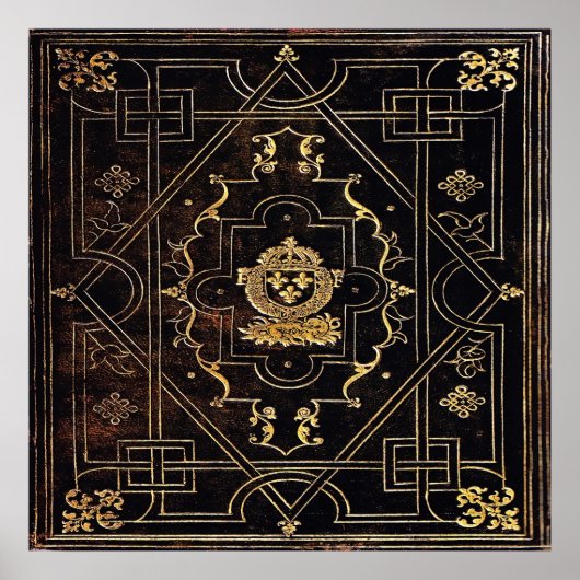 Falln  leder en goud poster (Voorkant)