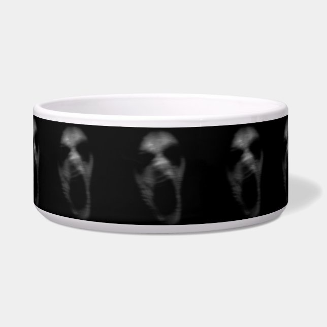 Falln Mental Disturbanes Voerbakje (Voorkant)