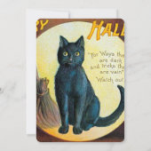 Falln Merry Halloween Cat (Achterkant)