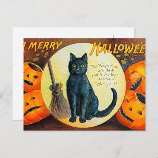 Falln Merry Halloween Cat Briefkaart (Voorkant / Achterkant)