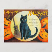 Falln Merry Halloween Cat Briefkaart (Voorkant)