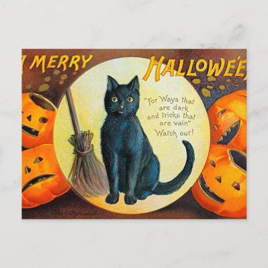 Falln Merry Halloween Cat Briefkaart (Voorkant)