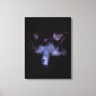 Falln Mirror Canvas Afdruk