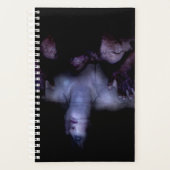 Falln Mirror Planner (Voorkant)