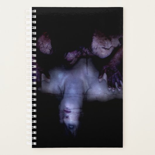Falln Mirror Planner (Voorkant)