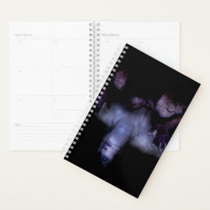 Falln Mirror Planner