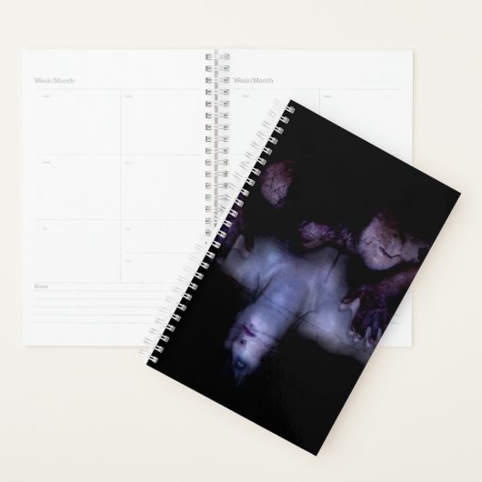 Falln Mirror Planner (Display)