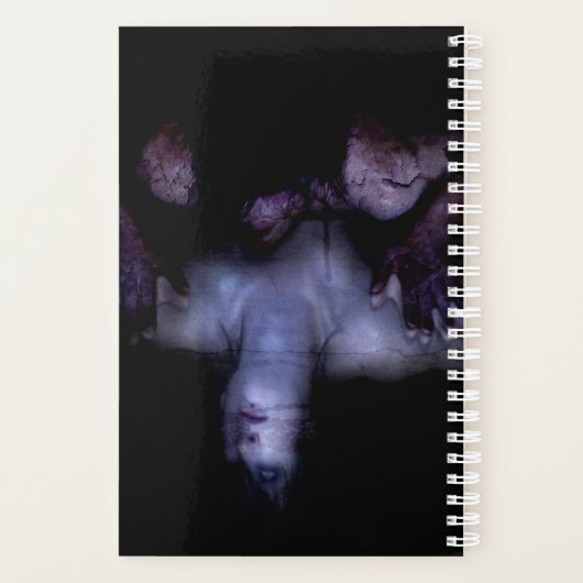 Falln Mirror Planner (Achterkant)