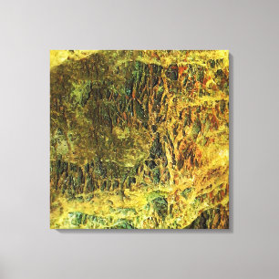 Falln Mossy Stones Canvas Afdruk