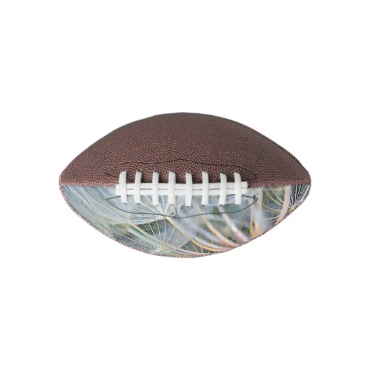 Falln New Wishes American Football (Voorkant)