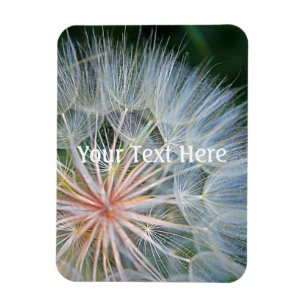 Falln New Wishes Magneet