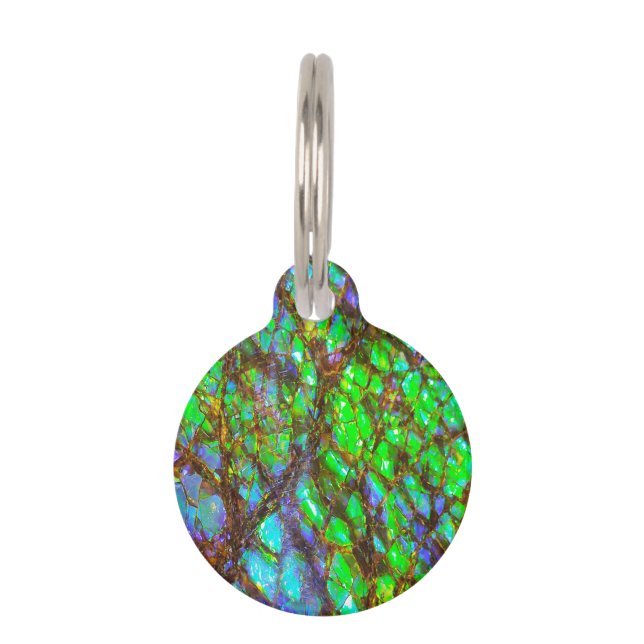 Falln Peacock Ammolite Huisdierpenning (Voorkant)