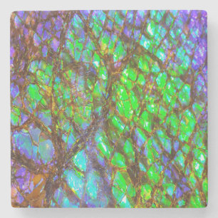 Falln Peacock Ammolite Stenen Onderzetter