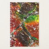 Falln Piedras Arcoiris Planner (Voorkant)