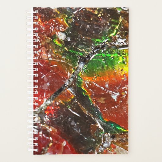 Falln Piedras Arcoiris Planner (Voorkant)