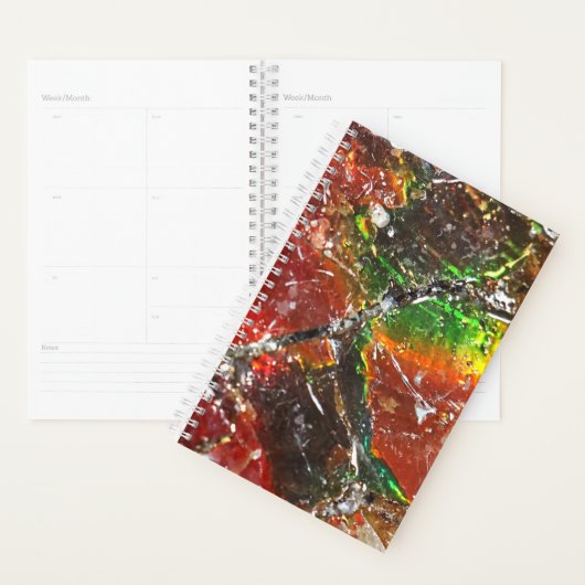 Falln Piedras Arcoiris Planner (Display)