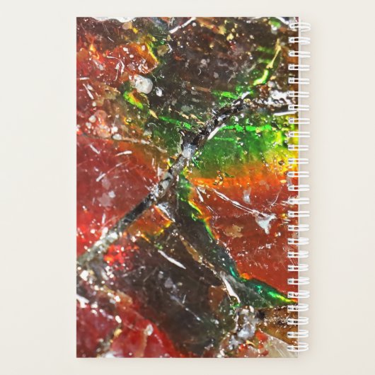 Falln Piedras Arcoiris Planner (Achterkant)