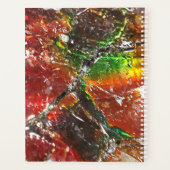 Falln Piedras Arcoiris Planner (Achterkant)