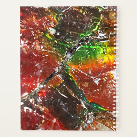 Falln Piedras Arcoiris Planner (Achterkant)