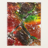 Falln Piedras Arcoiris Planner (Voorkant)