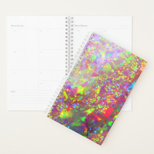 Falln Rainbow Brazililian Opal Planner (Display)