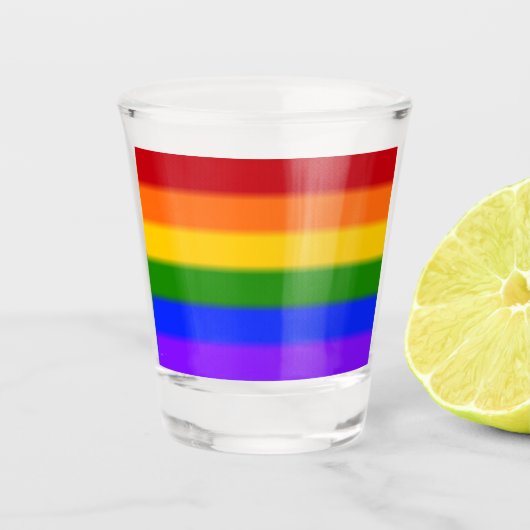 Falln Rainbow Gay Pride Flag Shot Glas (Voorkant)