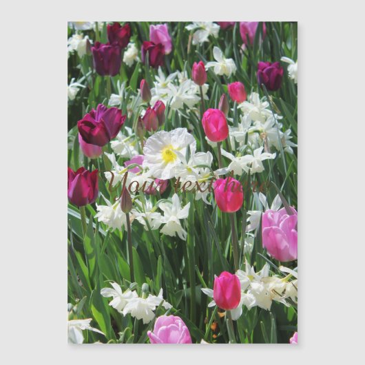Falln Romantic Spring Morning (Voorkant)