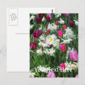 Falln Romantic Spring Morning Briefkaart (Voorkant / Achterkant)