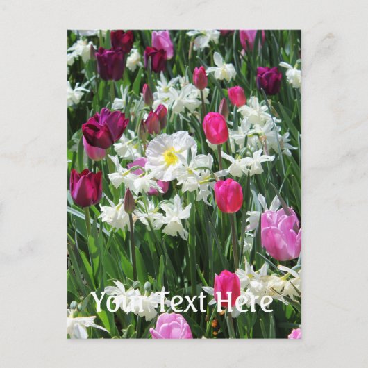 Falln Romantic Spring Morning Briefkaart (Voorkant)