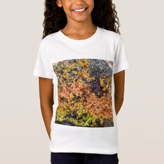 Falln Rusty Sunset Stones T-shirt (Voorkant)