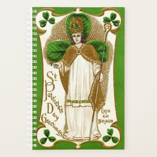 Falln Saint Patrick Planner (Voorkant)