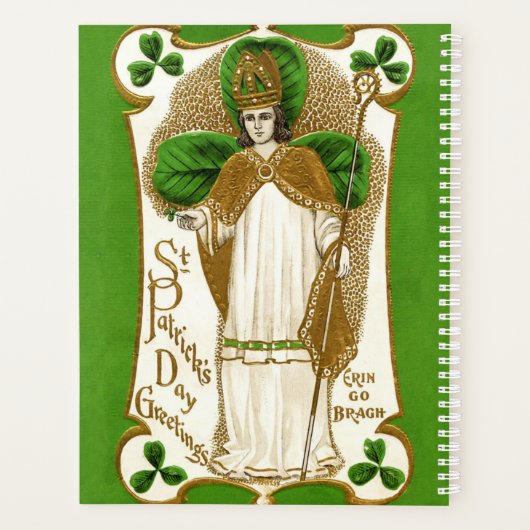 Falln Saint Patrick Planner (Achterkant)