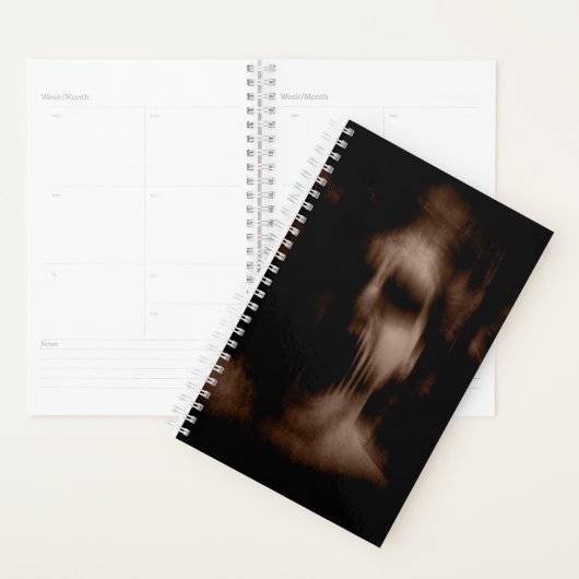 Falln Silence Planner (Display)