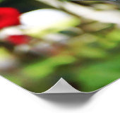 Falln Silent Prayer Poster (Hoek)