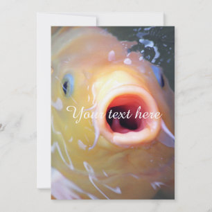 Falln Singing Ghost Koi