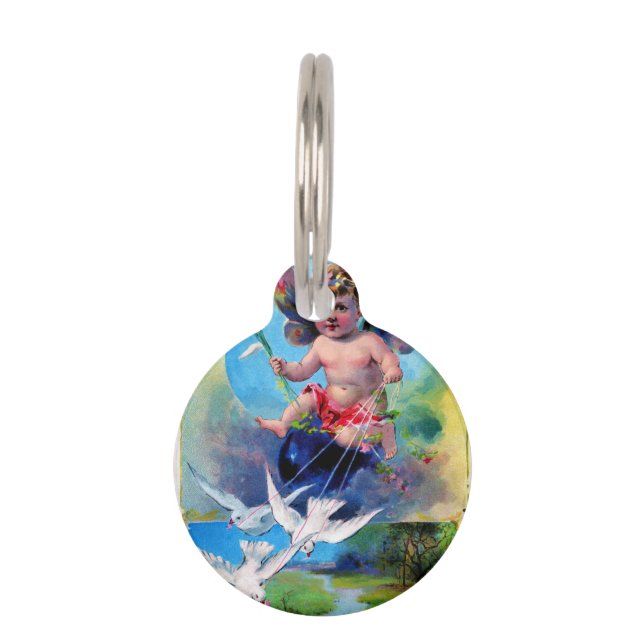 Falln Spring Time Fairy Huisdierpenning (Voorkant)