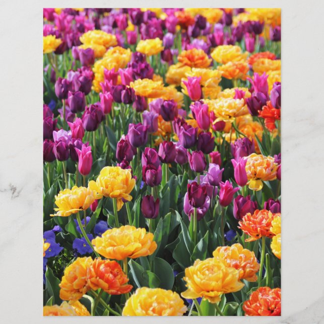 Falln Sunset Floral (Voorkant)