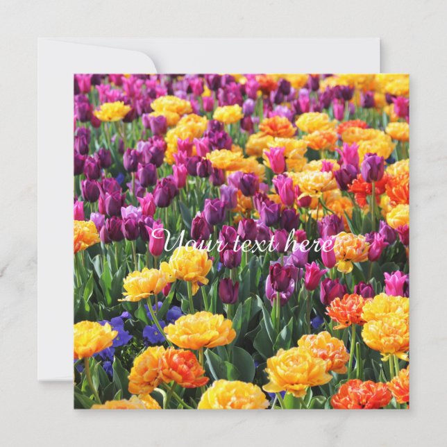 Falln Sunset Floral (Voorkant)