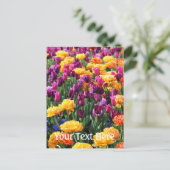 Falln Sunset Floral Briefkaart (Staand voorkant)