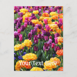 Falln Sunset Floral Briefkaart