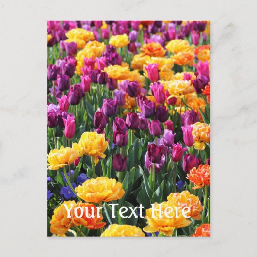 Falln Sunset Floral Briefkaart (Voorkant)