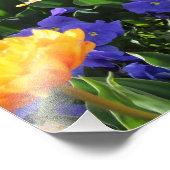 Falln Sunset Floral Foto Afdruk (Hoek)