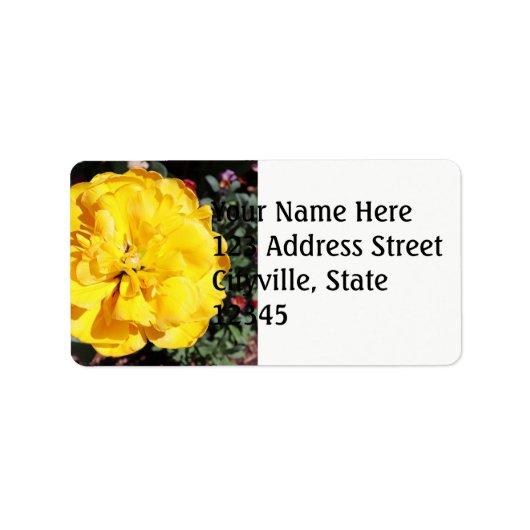 Falln Sunshine Floral Etiket (Voorkant)