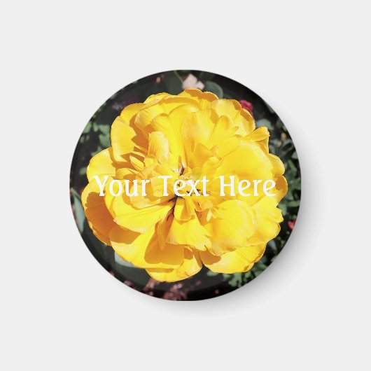 Falln Sunshine Floral Magneet (Voorkant)