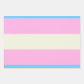 Falln Transgender Pride Flag Inpakpapier Vel (Voorkant 3)