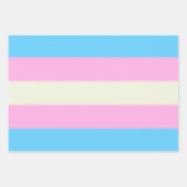 Falln Transgender Pride Flag Inpakpapier Vel (Voorkant)