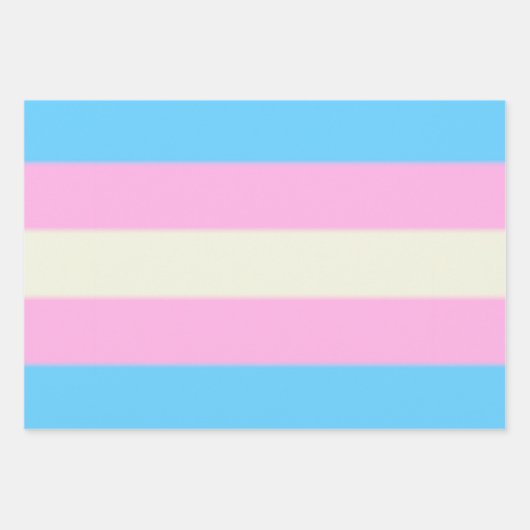 Falln Transgender Pride Flag Inpakpapier Vel (Voorkant)
