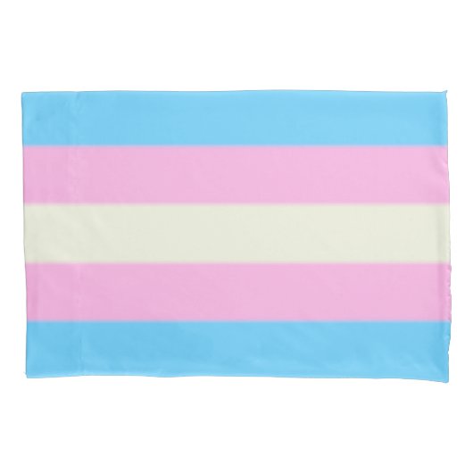 Falln Transgender Pride Flag Kussensloop (Voorkant)